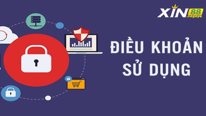 Điều khoản sử dụng là gì?