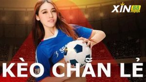 Các loại kèo chẵn lẻ phổ biến