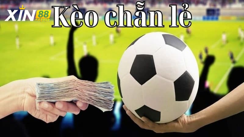 Điểm tốt và hạn chế của kèo chẵn lẻ