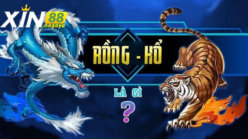 Giới thiệu về Rồng Hổ XIN88