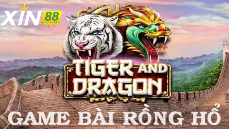 Luật chơi Rồng Hổ XIN88 đơn giản và dễ hiểu
